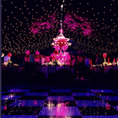 private parties